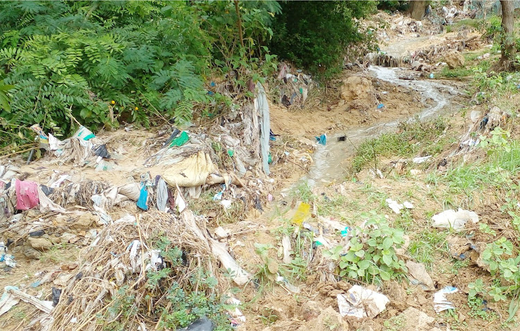 Sewer waste from upstream areas flowing downstream to Runyu village on its way to the Indian Ocean /KNA