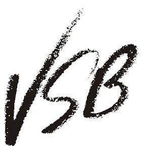 vsb_logo