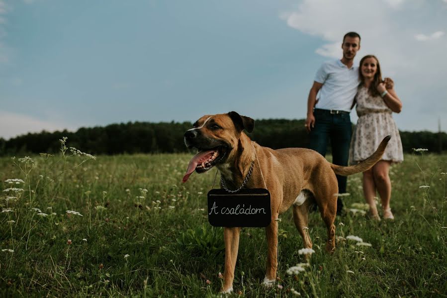 Свадебный фотограф Dániel Mustos (danielmustos). Фотография от 29 апреля 2019