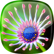 Flower Live Wallpaper  Icon