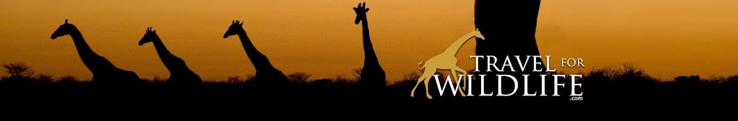 Travel For Wildlife Banner