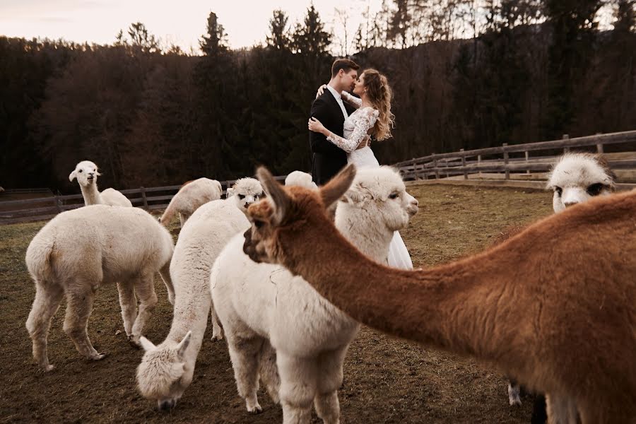 Fotografo di matrimoni Anna Bazhanova (annabazhanova). Foto del 28 gennaio 2020