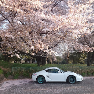 ケイマン 98720