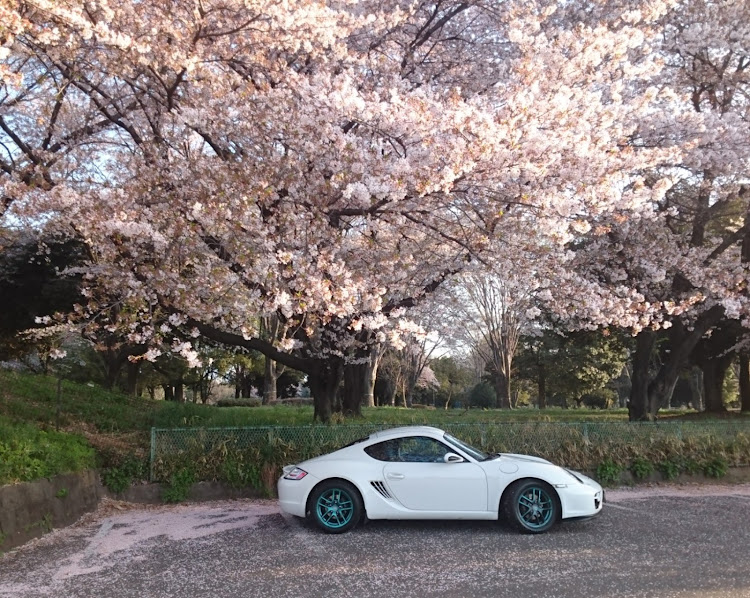 ケイマンのシュガー(自分に甘い)さんが投稿したカスタム事例の投稿画像1枚目