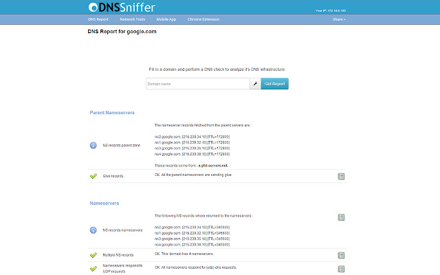 DNS Report