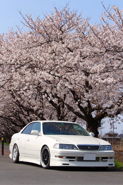マークIIのマークII・JZX100・桜・桜とコラボ🌸に関するカスタム事例の投稿画像1枚目