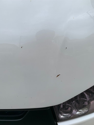 レジアスエースバン のハイエース 虫取り 洗車に関するカスタム メンテナンスの投稿画像 車のカスタム情報はcartune