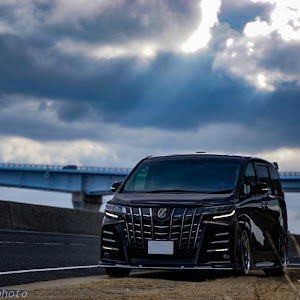アルファード AGH30W