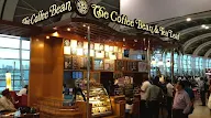 The Coffee Bean & Tea Leaf photo 3