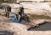 Rangers in the Kruger Park hauled an elephant calf out of a ditch filled with water on Tuesday.