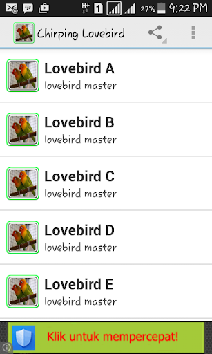 Chirping Lovebird