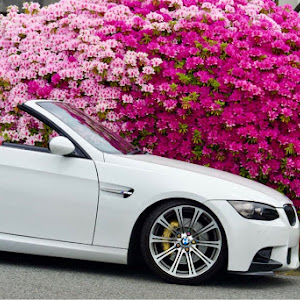 335i Cabriolet