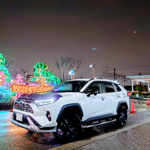 RAV4