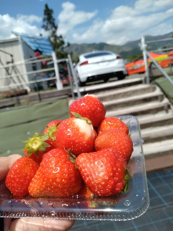 TT クーペの連休なにした？・ツーリング・阿蘇・GWの思い出・欧州車の會に関するカスタム事例の投稿画像6枚目