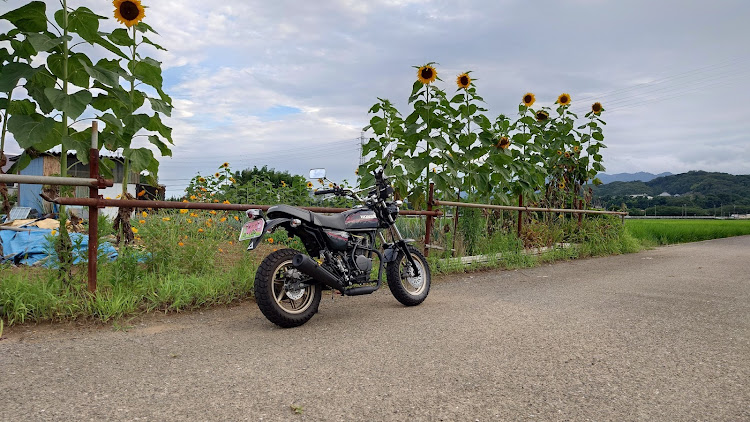 K-vivi＆Satoさんが投稿したエイプ100・CBF125F・ヘルメットホルダー・タコメーター・ツーリングに関するカスタム事例の投稿画像1枚目