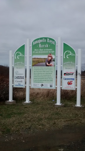 Annapolis Royal Marsh