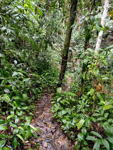 Bukit Berakit Hiking Trail Pulau Kapas