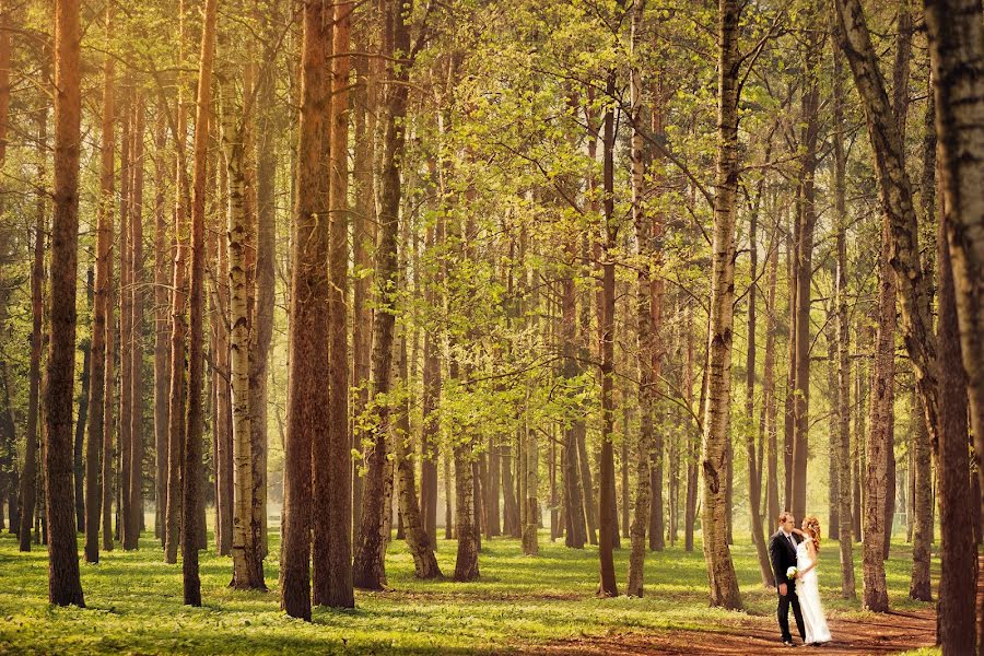 Wedding photographer Pavel Nemzorov (pavelnemzorov). Photo of 22 March 2017