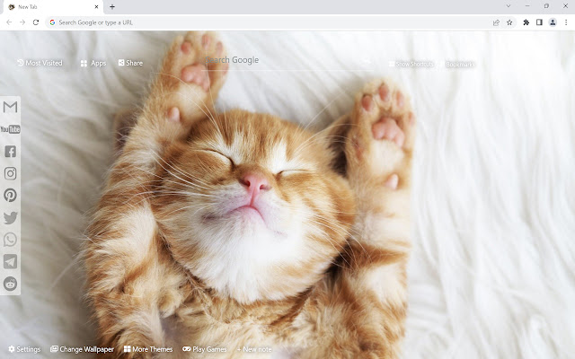 Cute Cats & Kittens Wallpaper