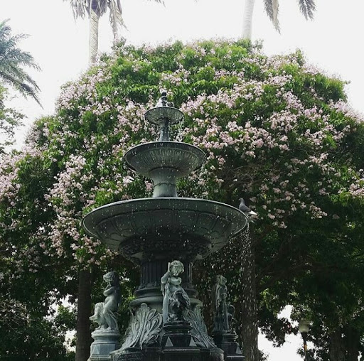 Fuente En Parque De Los Mangos