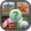 Download Best Guess Animals Quiz - Free Install Latest APK downloader