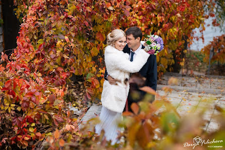 Wedding photographer Darya Filicheva (filicheva). Photo of 27 November 2017