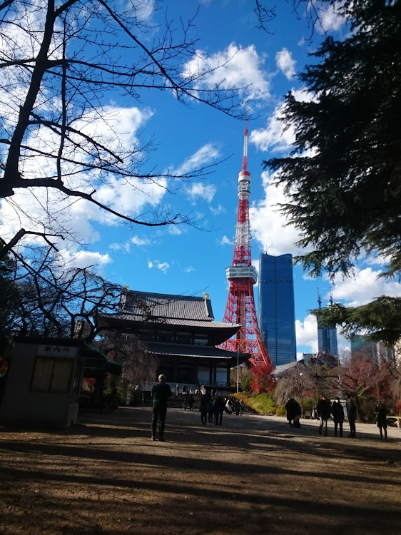 の投稿画像10枚目