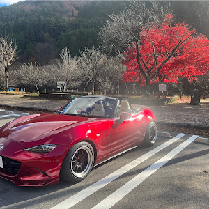 ロードスター ND5RC