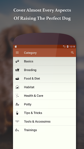 Dog Training - How To Raise The Perfect Puppy