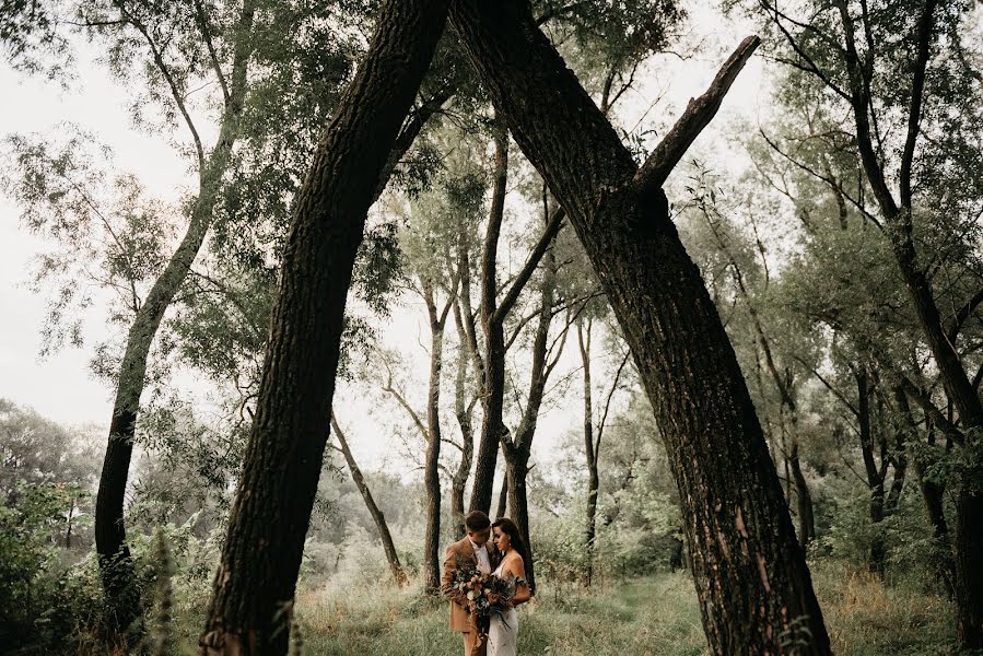 Wedding photographer Ilya Volokhov (ilyavolokhov). Photo of 12 September 2019