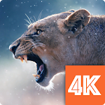 Animals Wallpapers 4K  Apk