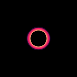 Singularity #307