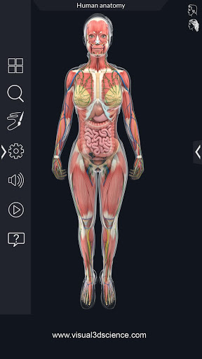 Screenshot Human Anatomy