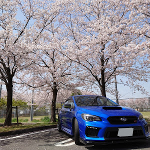 WRX STI VAB