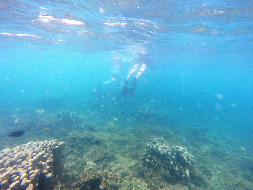 Bintan Underwater Indonesia 2016