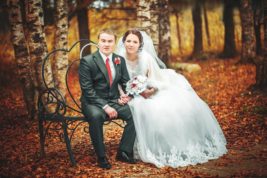 Bryllupsfotograf Elena Mikhaylovskaya (mikhailovskya). Bilde av 28 oktober 2016