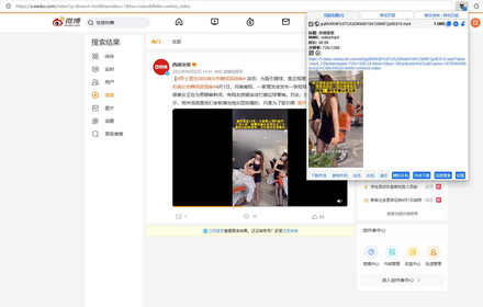 专业视频下载 Preview image 0