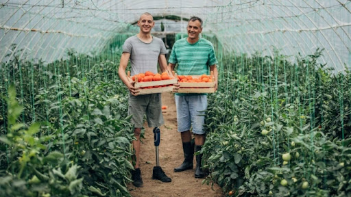 Erste banka odobrila više od pet miliona evra za više od 500 početnika u poslovanju u Srbiji