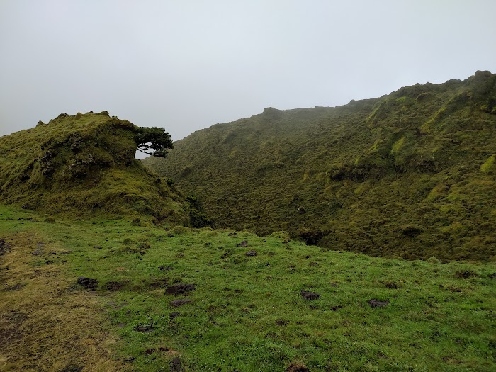 AZORES, 5 ISLAS POR UN PELO: PICO, SÃO JORGE, FAIAL, FLORES Y CORVO - Blogs de Portugal - PICO: DÍA DE LAGUNAS Y VACAS EN LA NIEBLA, VIÑAS Y FURNAS (4)