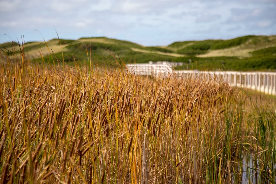 Wyspa Księcia Edwarda, Prince Edward Island National Park