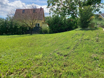 maison neuve à Gundolsheim (68)