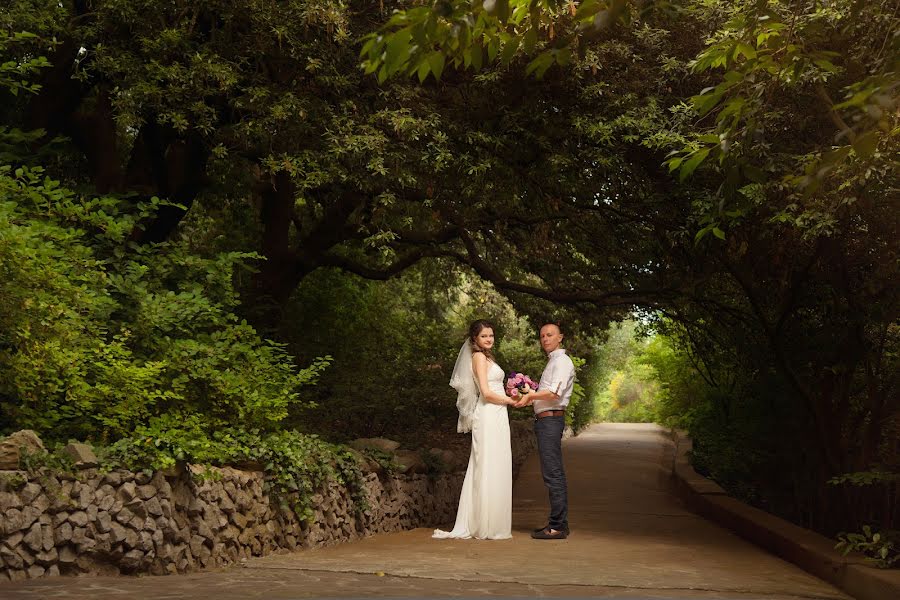 Fotografo di matrimoni Tatyana Tatarin (ozzzi). Foto del 11 febbraio 2016