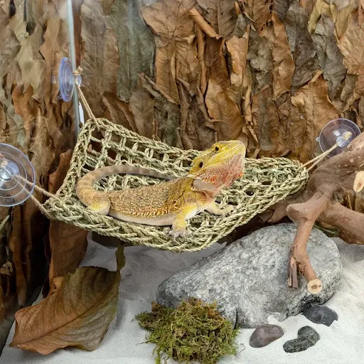 Bearded Dragon Hammock Reptile Lounger for Chameleon Lizards Gecko Snakes Lguana Reptiles Geckos Grass Cushion Pet Bed S