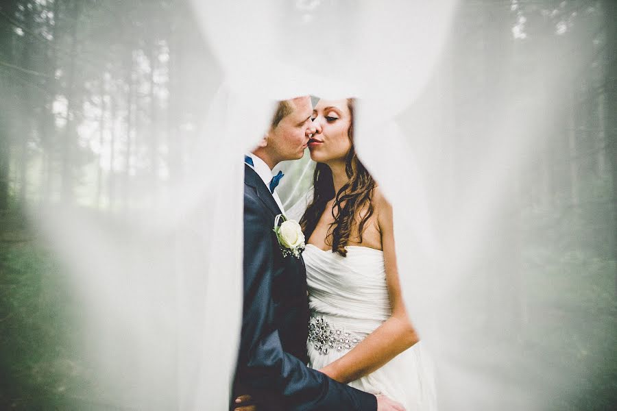 Photographe de mariage Aleks Ginis (lioxa). Photo du 6 septembre 2014