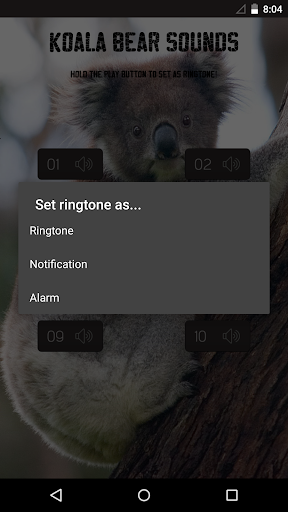 免費下載音樂APP|Koala Bear Sounds app開箱文|APP開箱王
