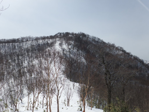 最後の登りに