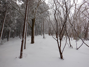 雪が深くなり難儀する