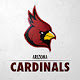 Arizona Cardinals Wallpapers Theme New Tab