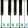Piano keyboard 2022 icon