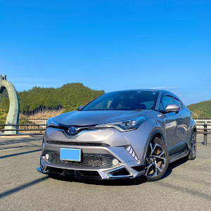 C-HR ZYX10